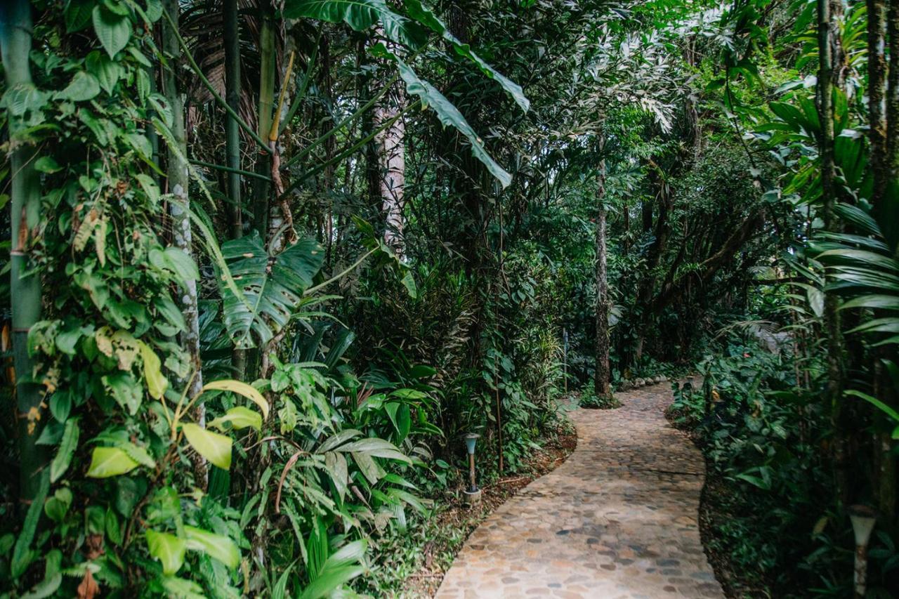 Arahuana Jungle Resort & Spa Tena Extérieur photo