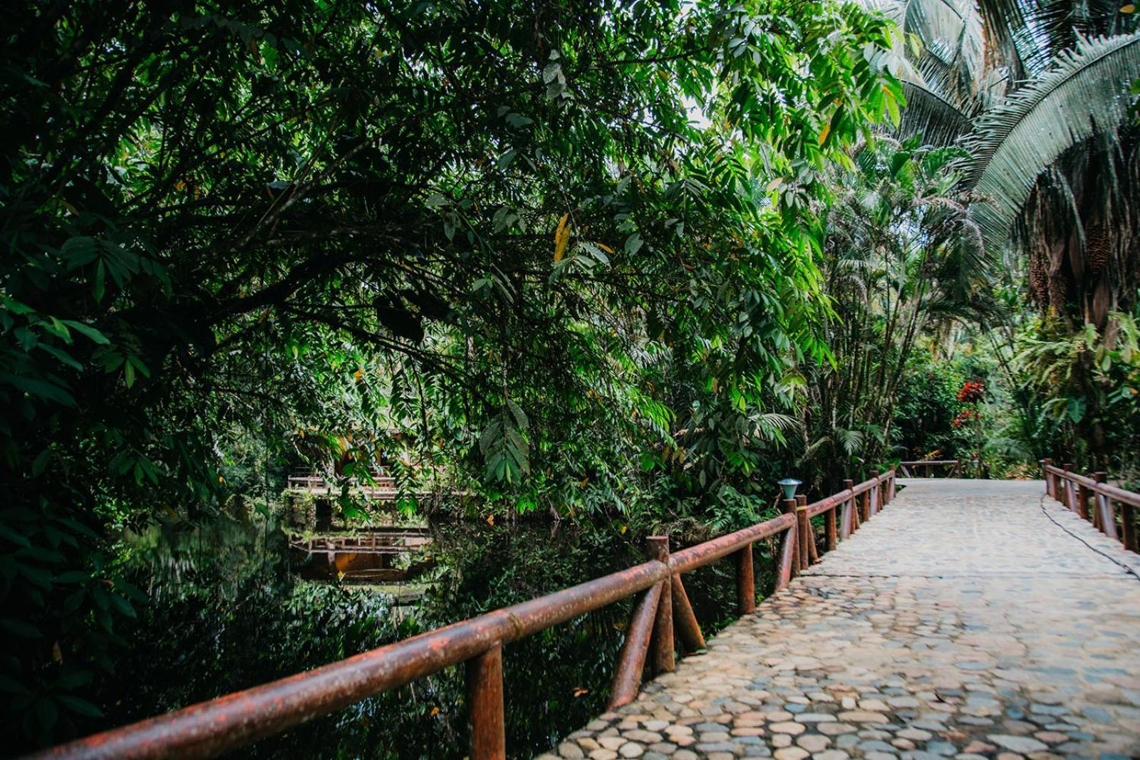 Arahuana Jungle Resort & Spa Tena Extérieur photo