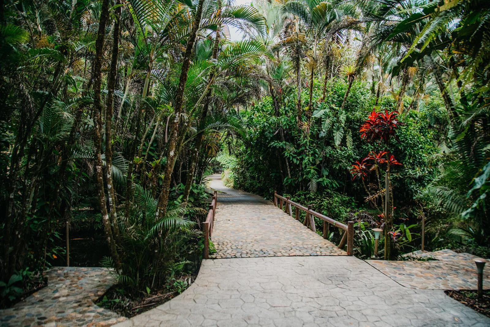Arahuana Jungle Resort & Spa Tena Extérieur photo