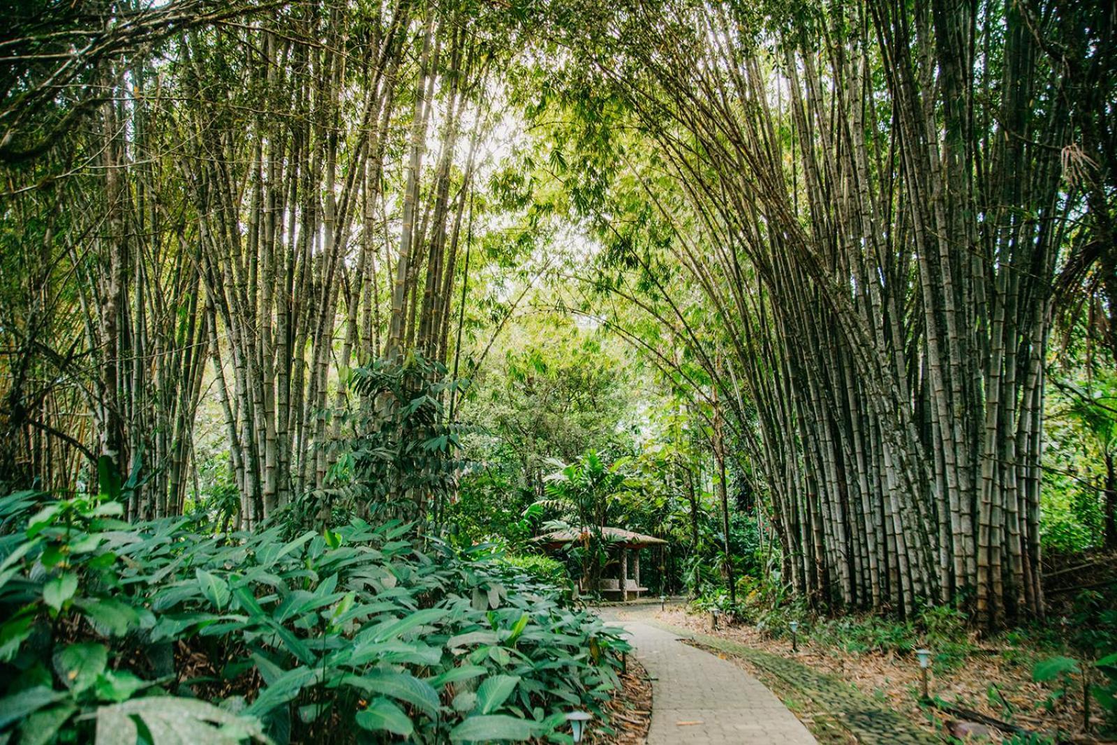 Arahuana Jungle Resort & Spa Tena Extérieur photo