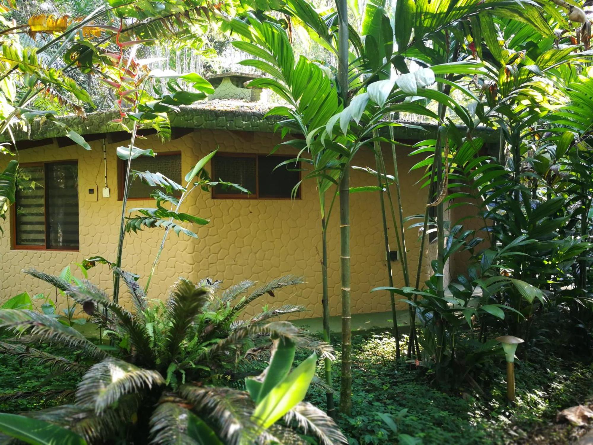 Arahuana Jungle Resort & Spa Tena Extérieur photo