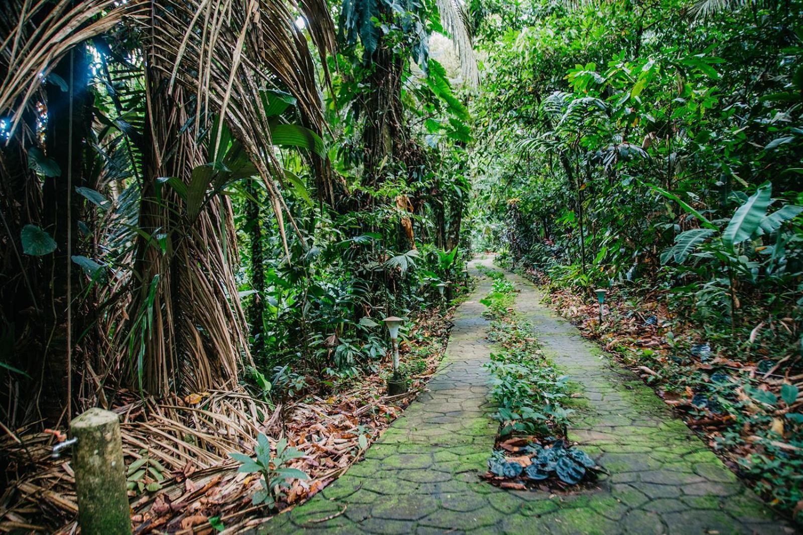 Arahuana Jungle Resort & Spa Tena Extérieur photo
