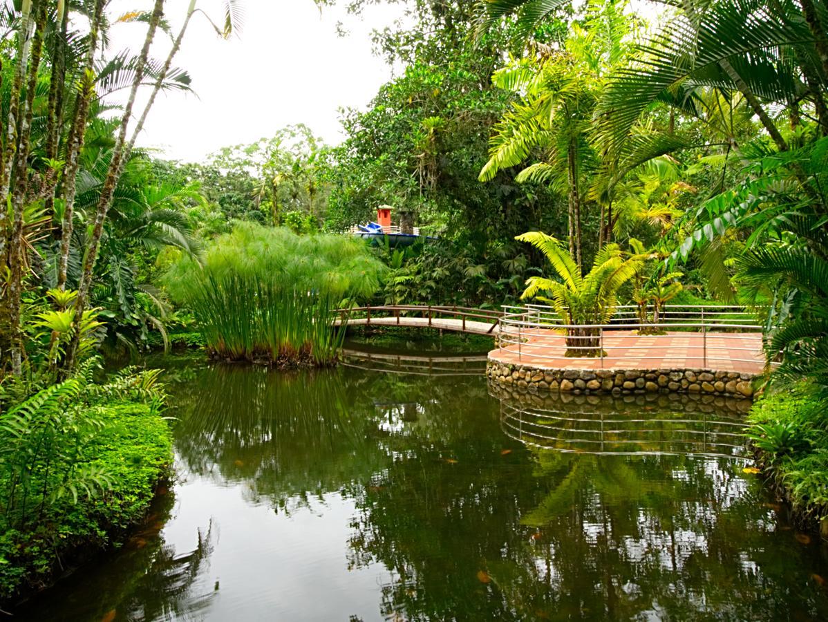 Arahuana Jungle Resort & Spa Tena Extérieur photo